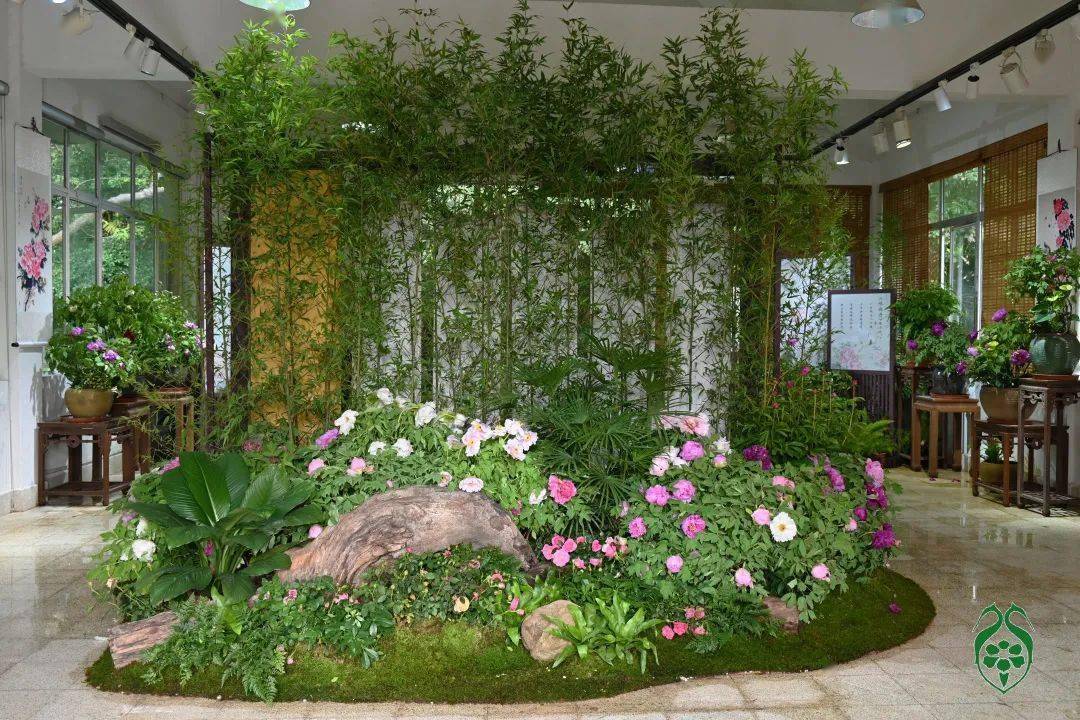 绚烂五月,来这看牡丹芍药展&rarr;_赖楚悦_陈嘉_展馆